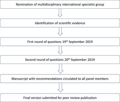 Recommendations for the prevention, screening, diagnosis, staging, and management of cervical cancer in areas with limited resources: Report from the International Gynecological Cancer Society consensus meeting